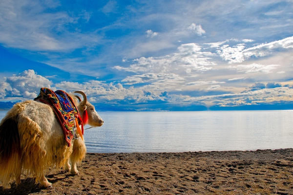 拉薩-納木錯(cuò)3晚4日游